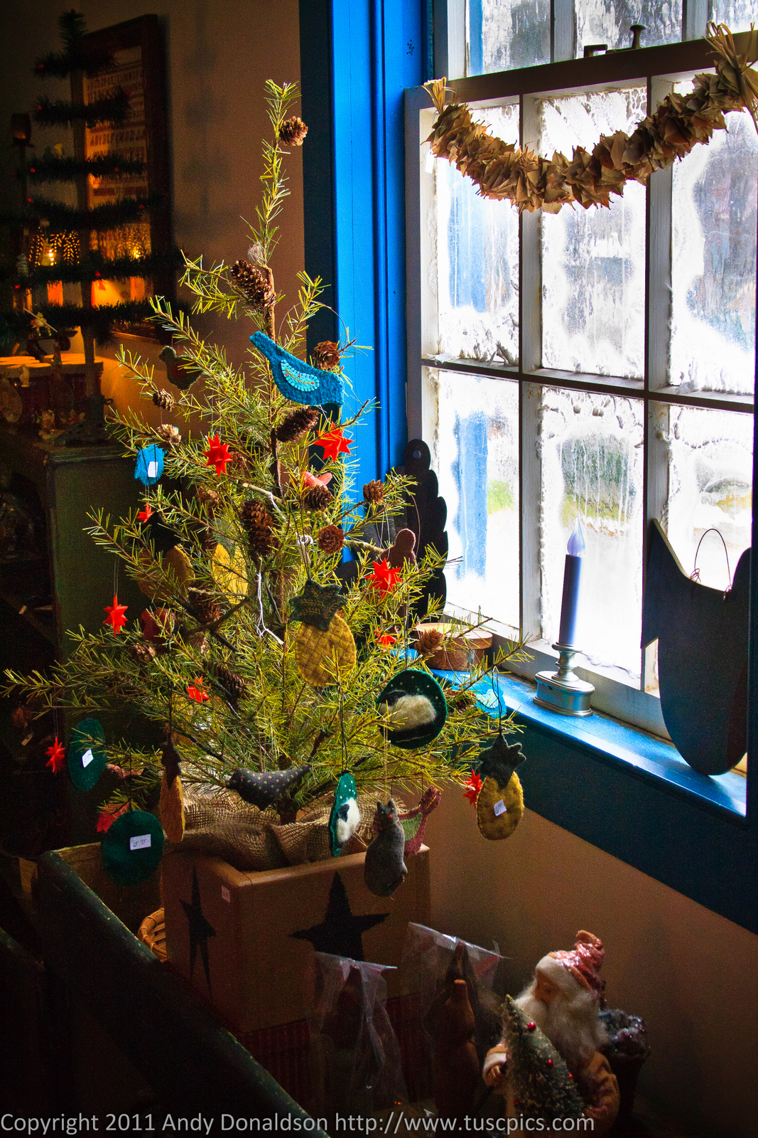 to the blog of Andy Donaldson Photography Take 2 Christmas