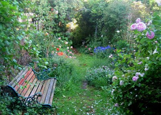 garden english path eccentric down gardens booklady