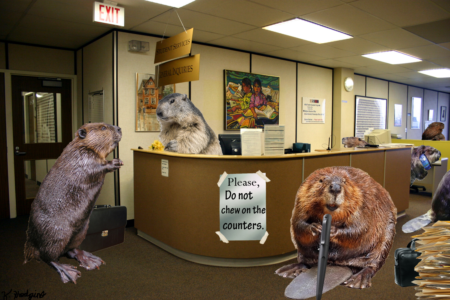 Graphic Design and Photo Editing Beaver Office