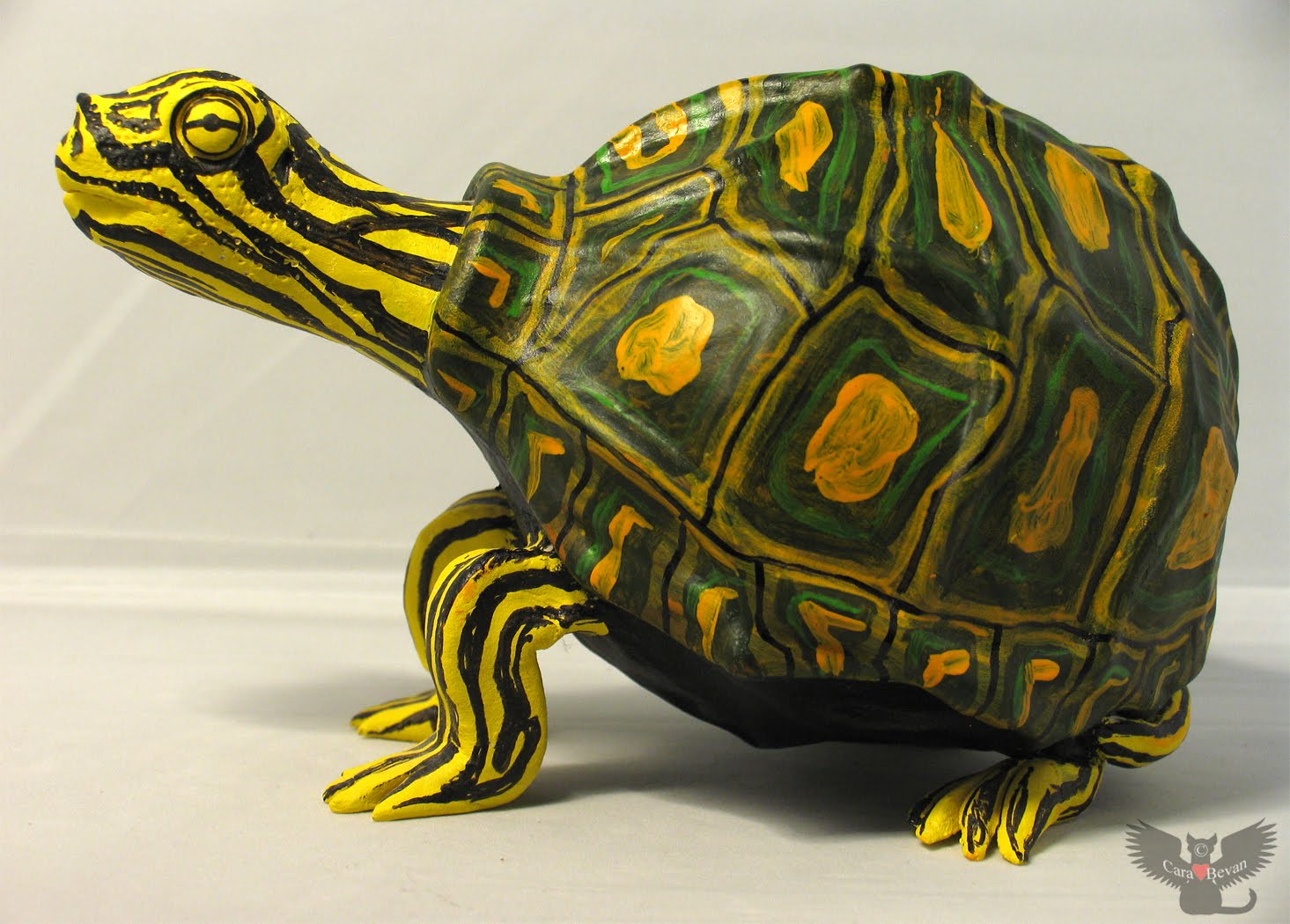 sawback map turtle