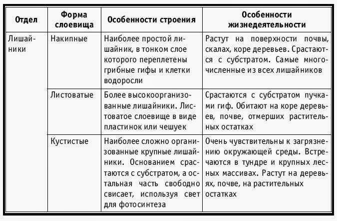 егэ математика базовый уровень 2015 тесты