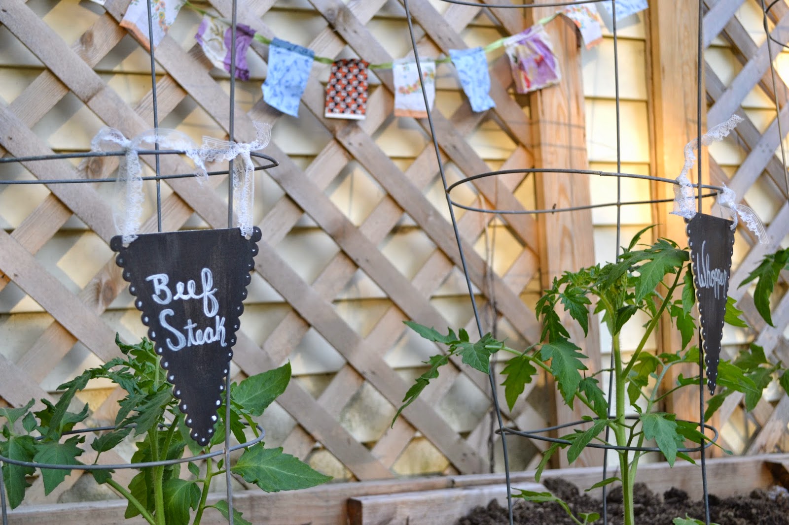 Attic Lace Tomato Plant Markers
