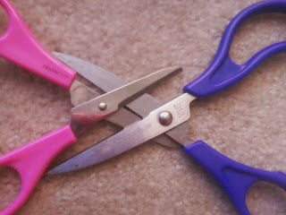 lesbian+scissor