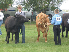 Hugh and Wick learn how to show a steer.