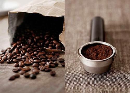 Profesyonel Barista Eğitimi Lavazza Kahve