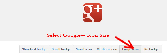 Google+ Icon Size