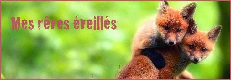 http://mes-reves-eveilles.blogspot.fr/2014/11/ensemble.html