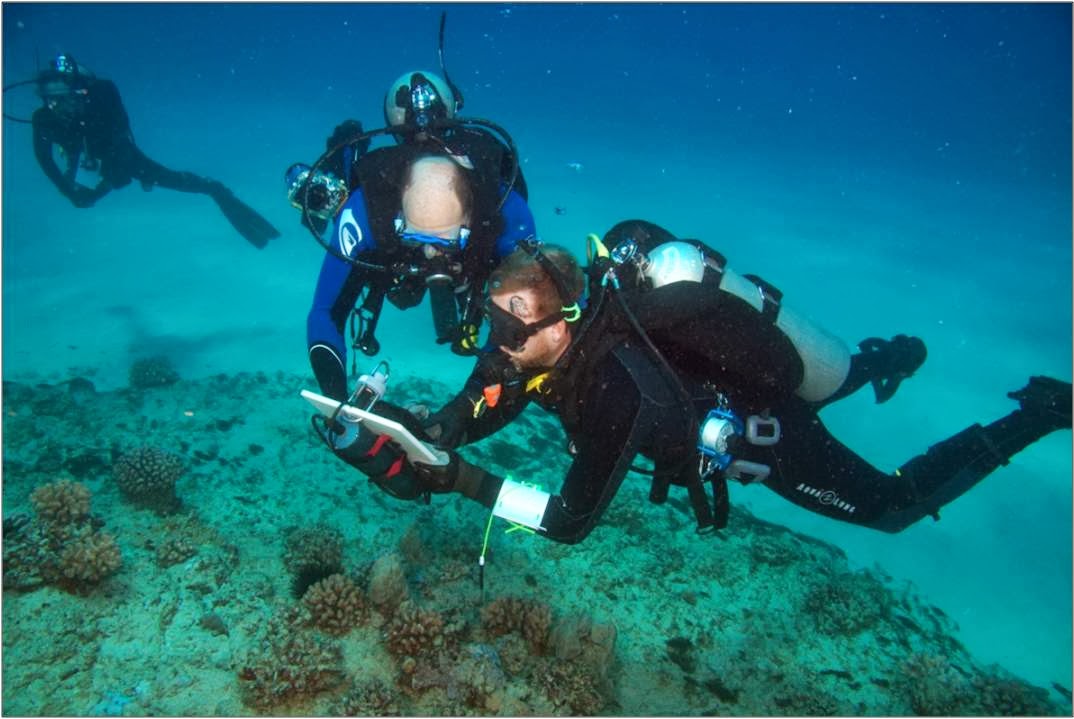 topside noaa staff provide training to university of hawaii divers