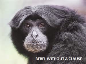 Bebel Without a Clause