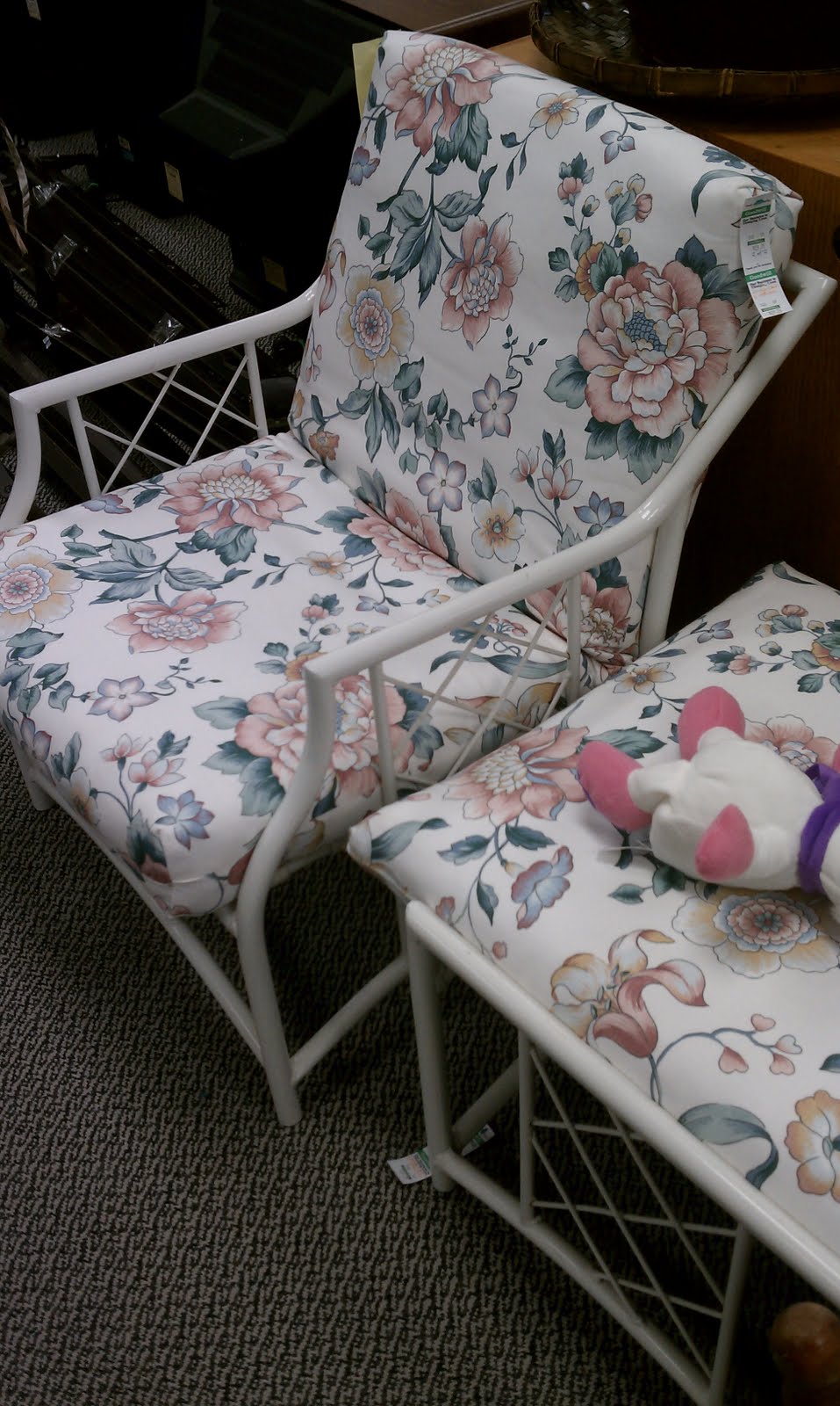 Newly Domesticated I Spy Williamsburg Goodwill