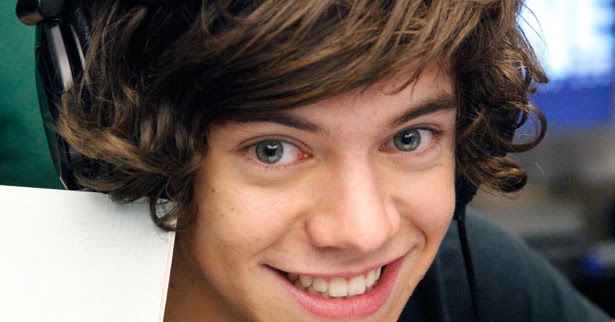 Profil Harry Edward Styles One Direction TRIAS SHERLY )