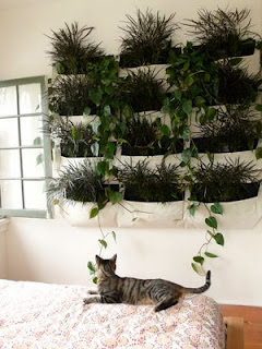 EcoNotas.com: Fabrica tu Jardín Vertical, Decora el Interior de tu