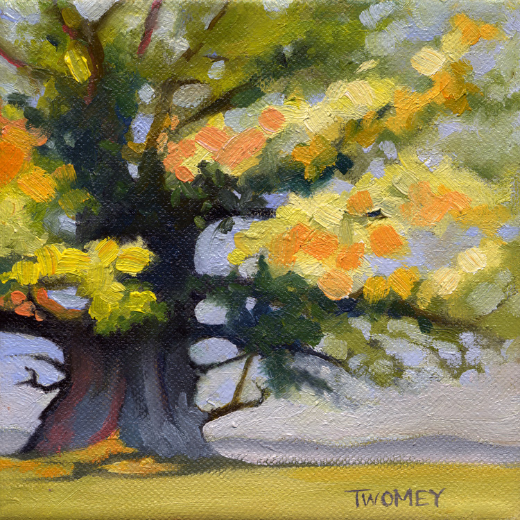 The Ancient White Oak by Twomey