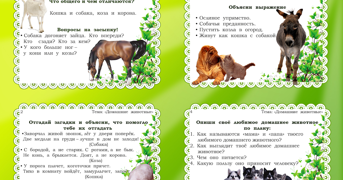 Стих мои домашние животные Стих мои домашние животные