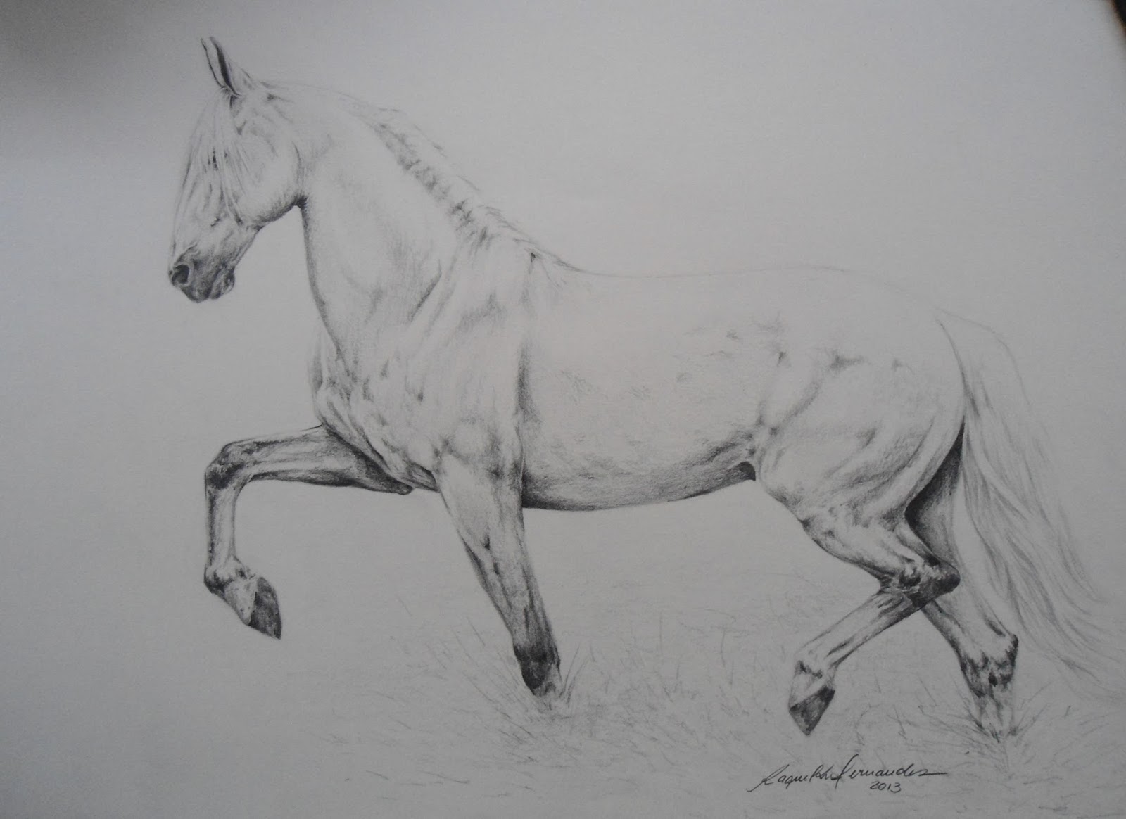 Como desenhar um Cavalo Manga Larga Machador 