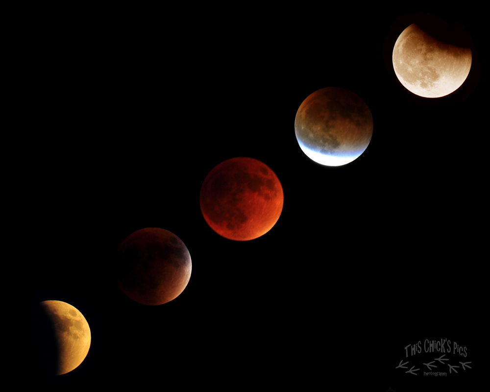 The ISS transiting a lunar eclipse. : r/space