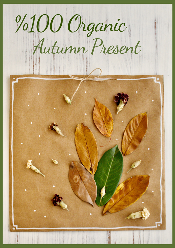 Tripal Design Organic Package