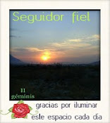 Premio Seguidor Fiel