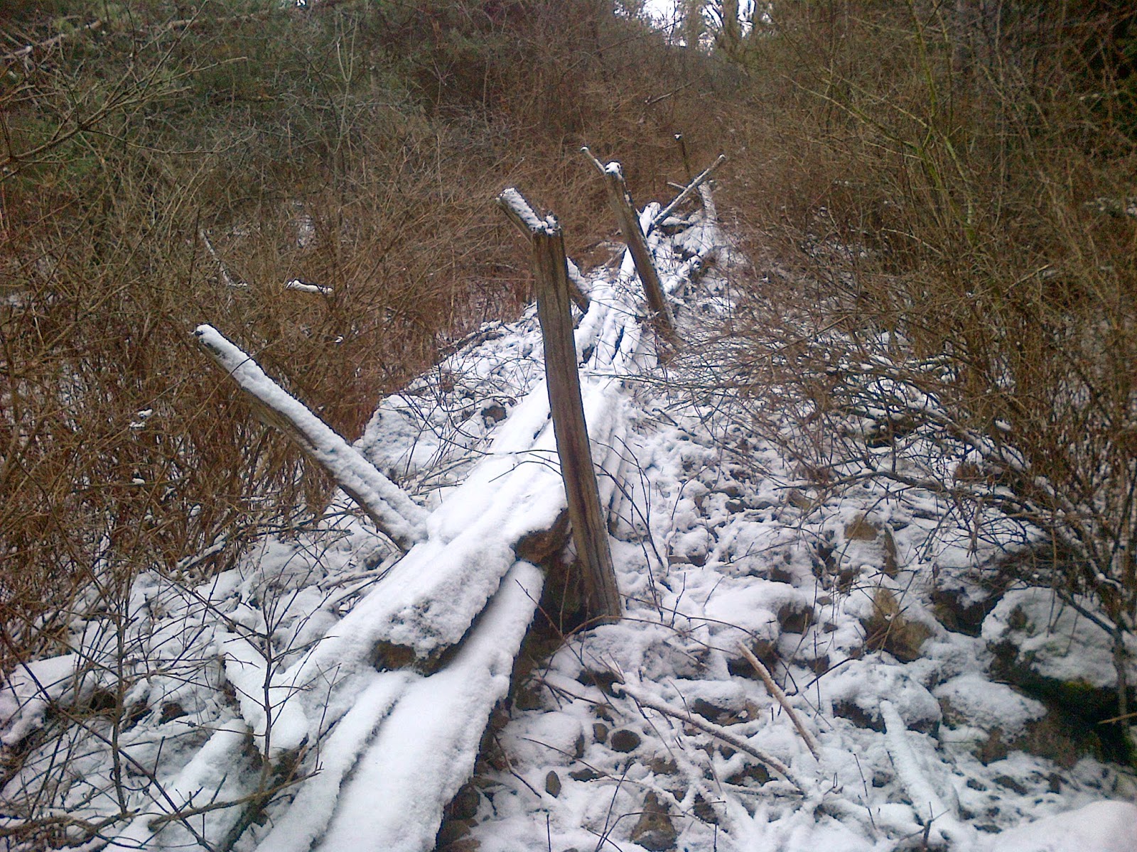 Hamilton Conservation Before Valens Lake Conservation Area