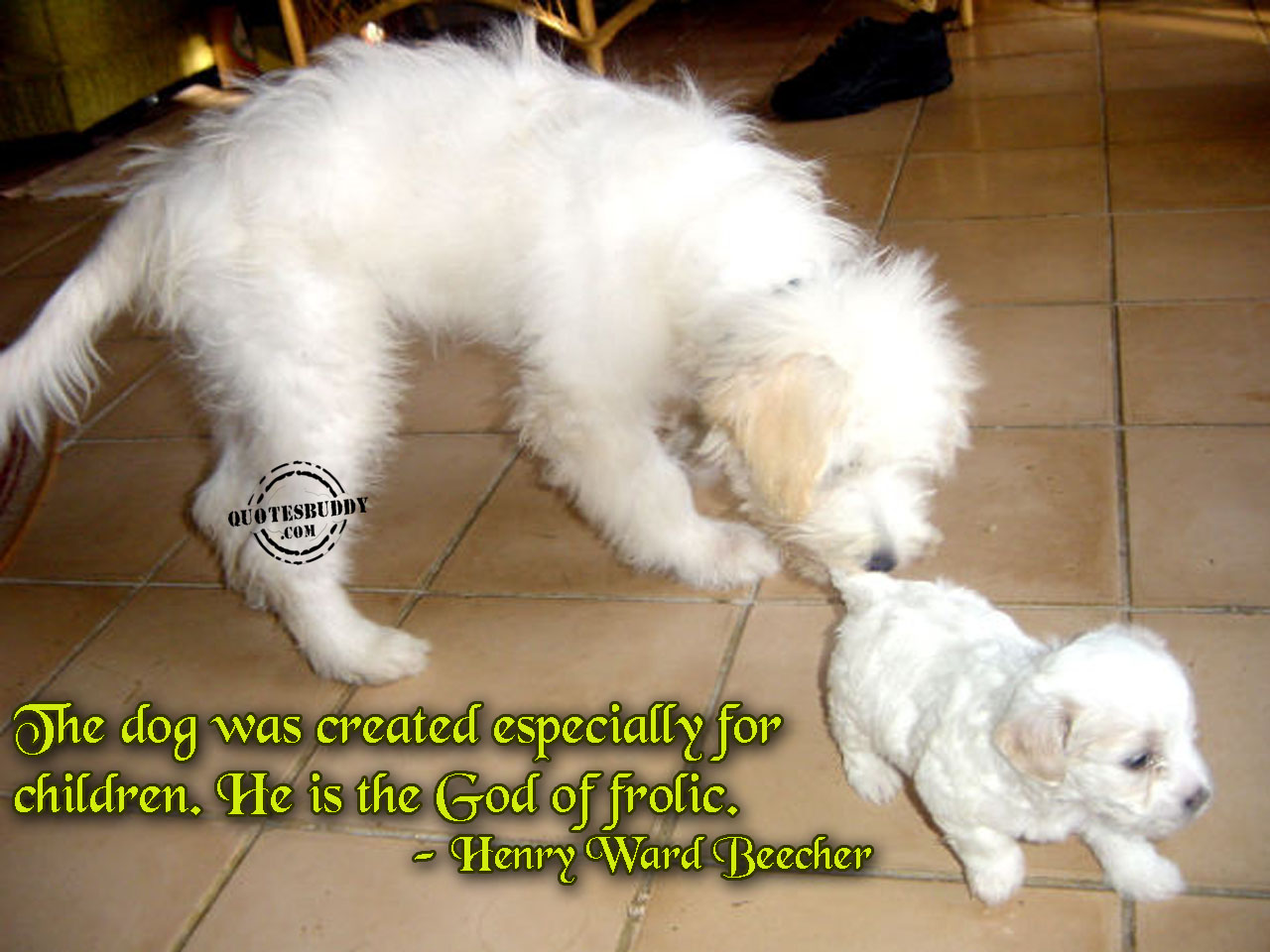 puppy pictures with sayings puppies quotes puppy pictures with sayings puppies quotes