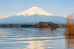 Mount Fuji Kawaguchiko