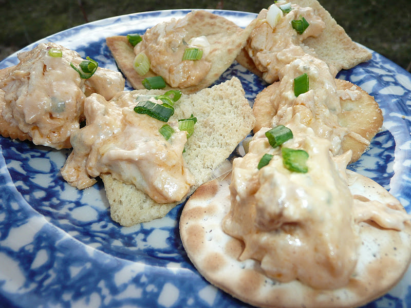 Everyday Dutch Oven Frank's Redhot Buffalo Chicken Dip