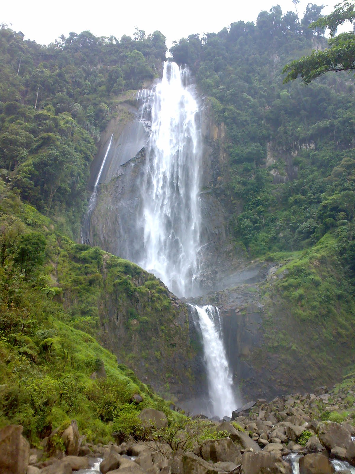 NETTI NATARIDA MARPAUNG