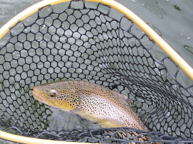 Green+River+Flyfishing+with+Jay+Scott+Outdoors+14.JPG