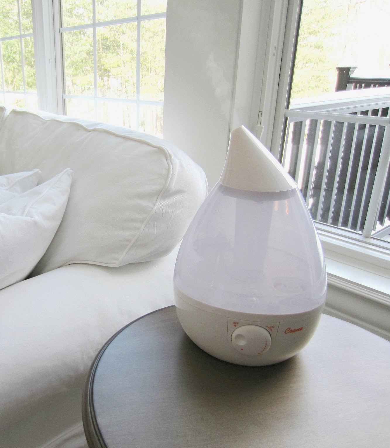 Style, Decor & More Wake Up {A Crane Humidifier Review
