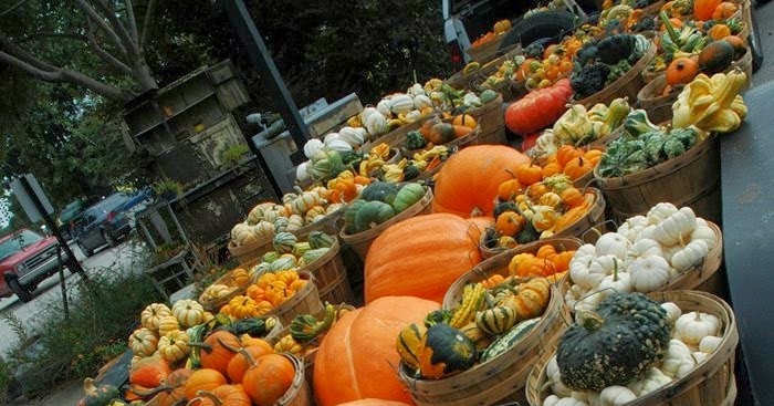 Fall Harvest ~ Photos Hub
