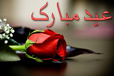 Eid Ul Adha Zuha Mubarak Rose Flowers Wallpapers Greeting Cards 2012 in Urdu 026 Eid Ul Adha Zuha Mubarak Rose Flowers Wallpapers Greeting Cards 2012 in Urdu 026