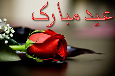 Eid Ul Adha Zuha Mubarak Rose Flowers Wallpapers Greeting Cards in Urdu