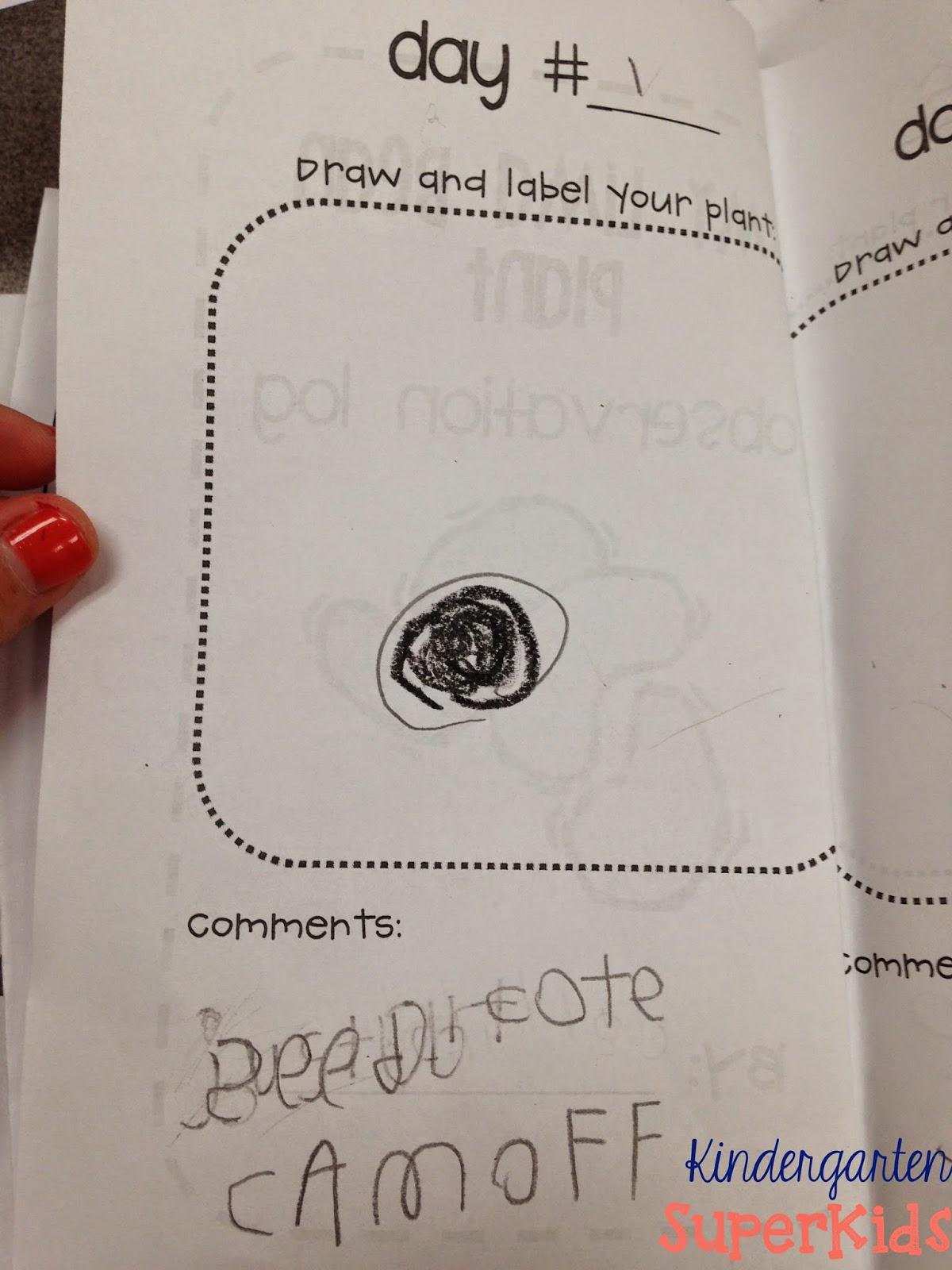 Kindergarten SuperKids Lima Bean Love!