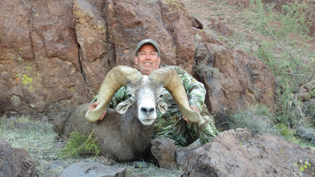 Larry+Spillers+AZ+Super+Raffle+Desert+Bighorn+Sheep+with+Colburn+and+Scott+Outfitters+6.JPG