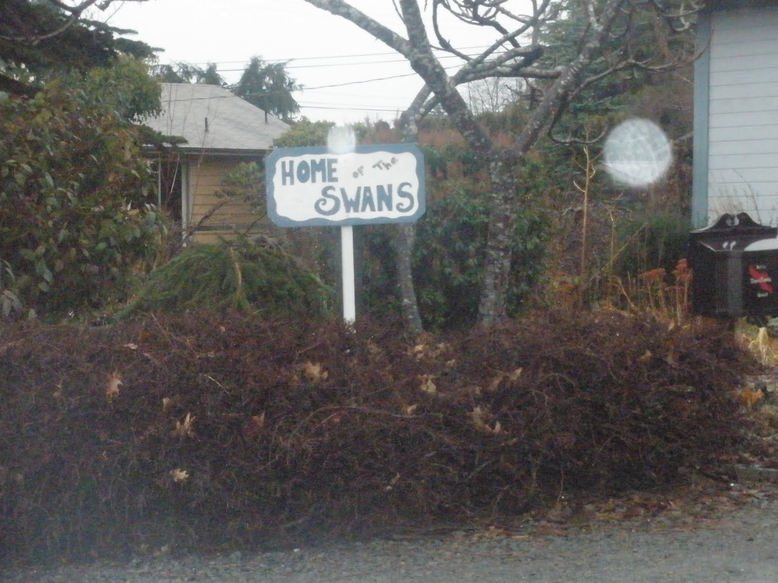 Twilight Travels 2011 The Swan House Forks