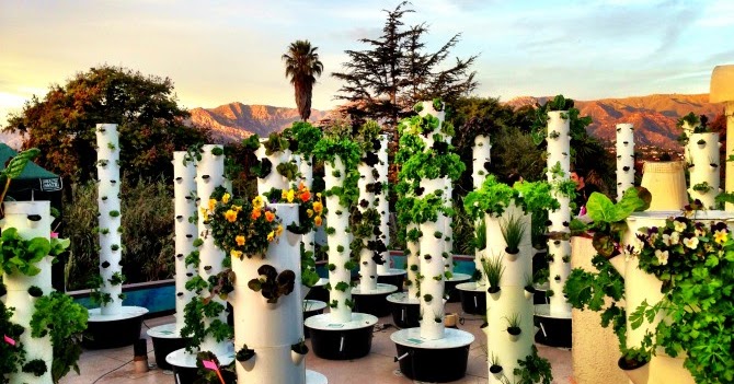 Cultivos aeropónicos : Jardines verticales y cubiertas vegetales