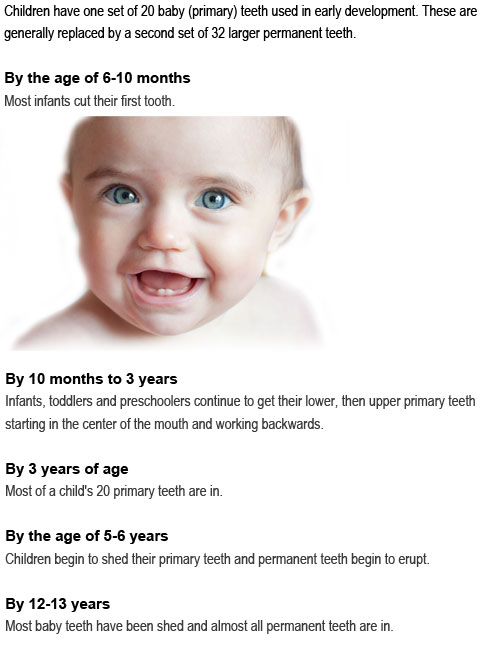 how many teeth for a 1 year old