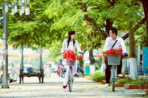 Những bài thơ về cây phượng vĩ với tuổi học trò Bài thơ về hoa Phượng
