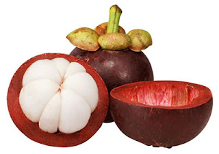 Manfaat Kulit Manggis Agar Terbebas Dari Kanker