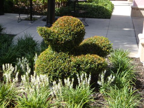 Duck Topiary