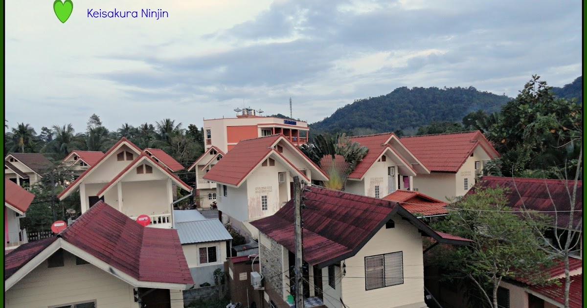 Day 5: Day Trip To Phi Phi Islands