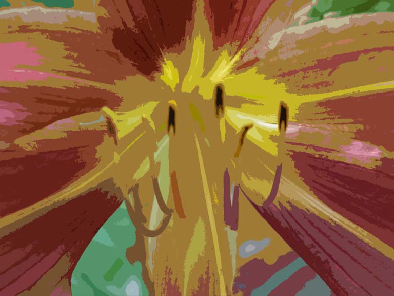 Thayer Hospital Art Gallery Exhibit is up! Lisa Wheeler, Art