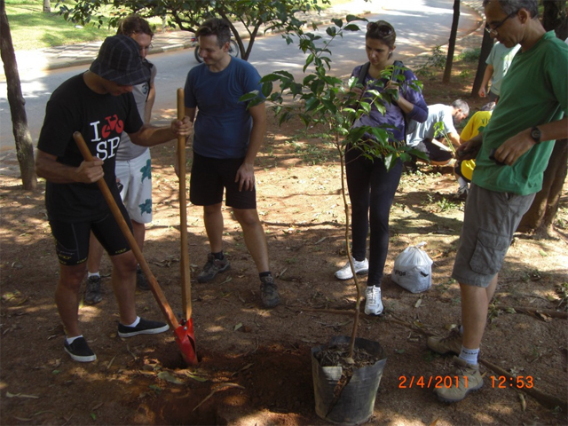 Grupo de ciclistas atravessa a cidade plantando mudas em parques e praças