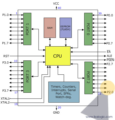 microcontroller vs microprocessor