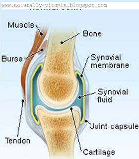 sendi, joint,AJHT,NORMAL JOINT sakit sendi,tulang rawan,ajht