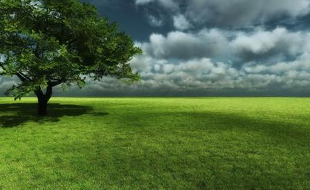 widescreen wallpapers free high. Free HD Widescreen Wallpapers, Download HD Widescreen Desktop Images,