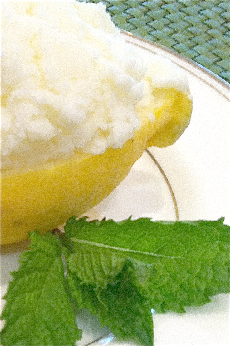 Padgett Hoke Lemon Sorbet Cups