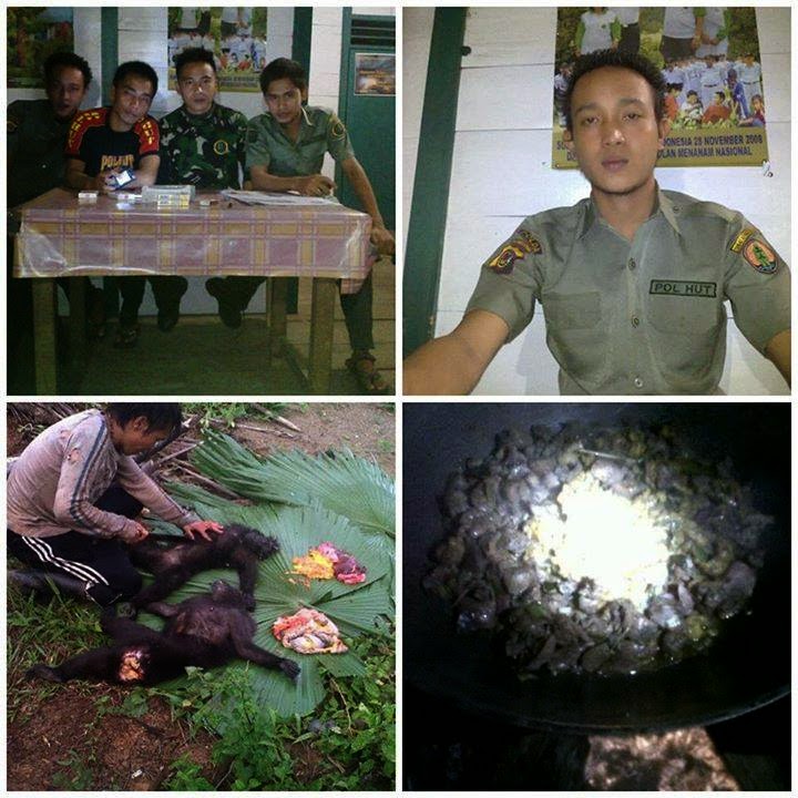 http://4.bp.blogspot.com/-heZdxFLkR0Q/VD4IdWM_jJI/AAAAAAAACJk/CsuFkgfJ1nE/s1600/monyet.jpg