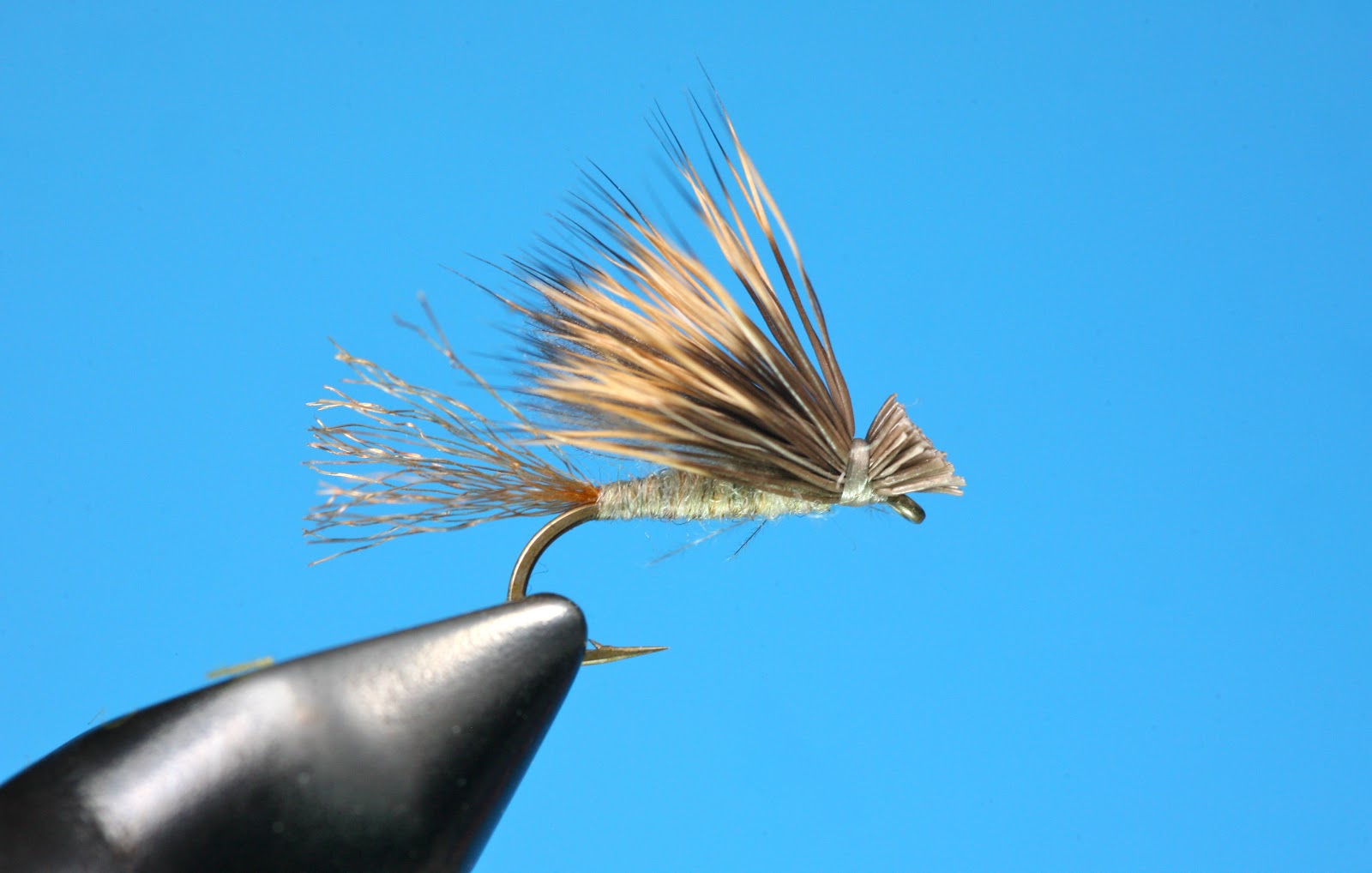 The Hopper Juan The Caddis are coming!