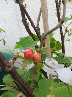 20130709_174830.jpg